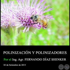 POLINIZACIN Y POLINIZADORES - Ing. Agr. FERNANDO DAZ SHENKER - 02 de Setiembre de 2015